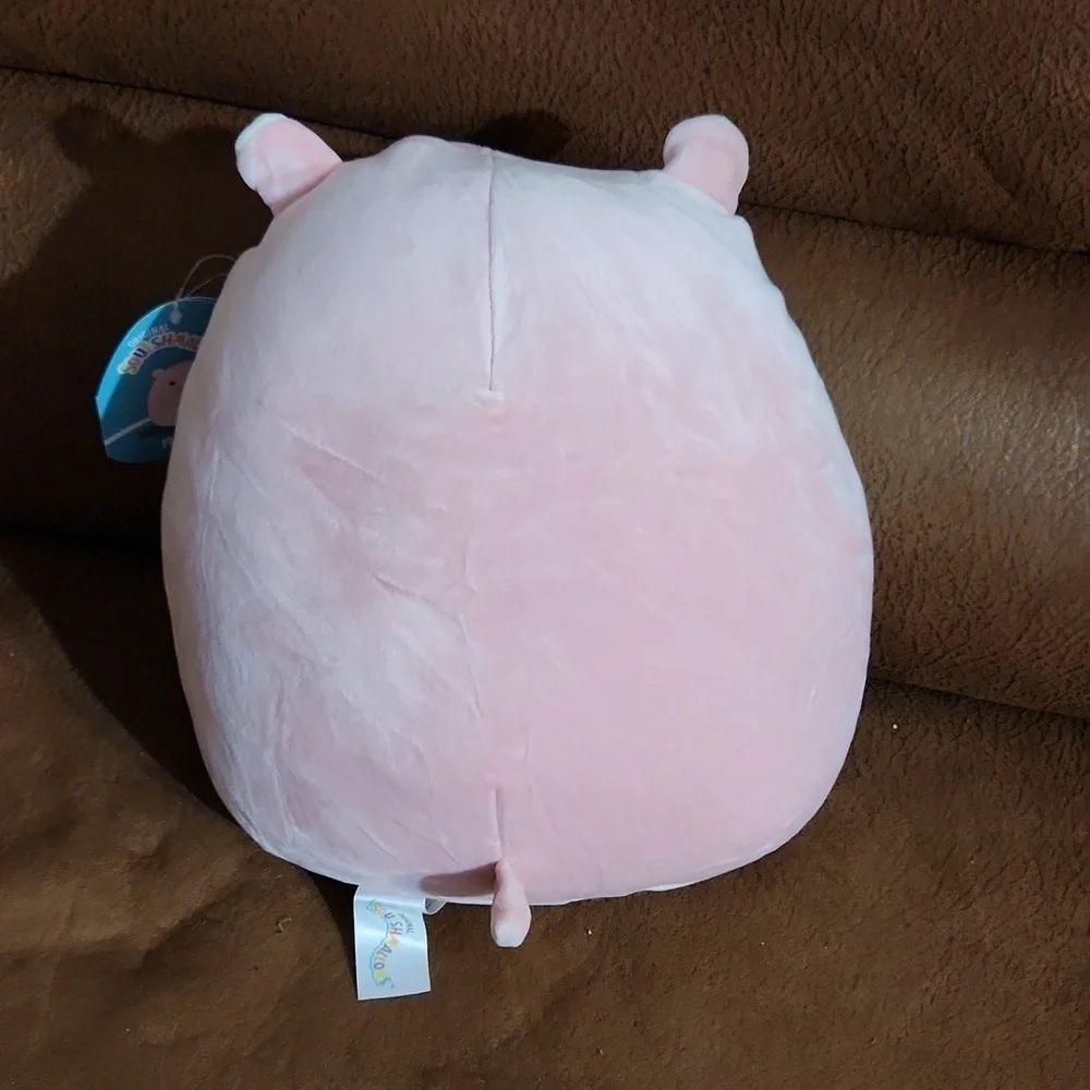 Squishmallows nwt ridelle